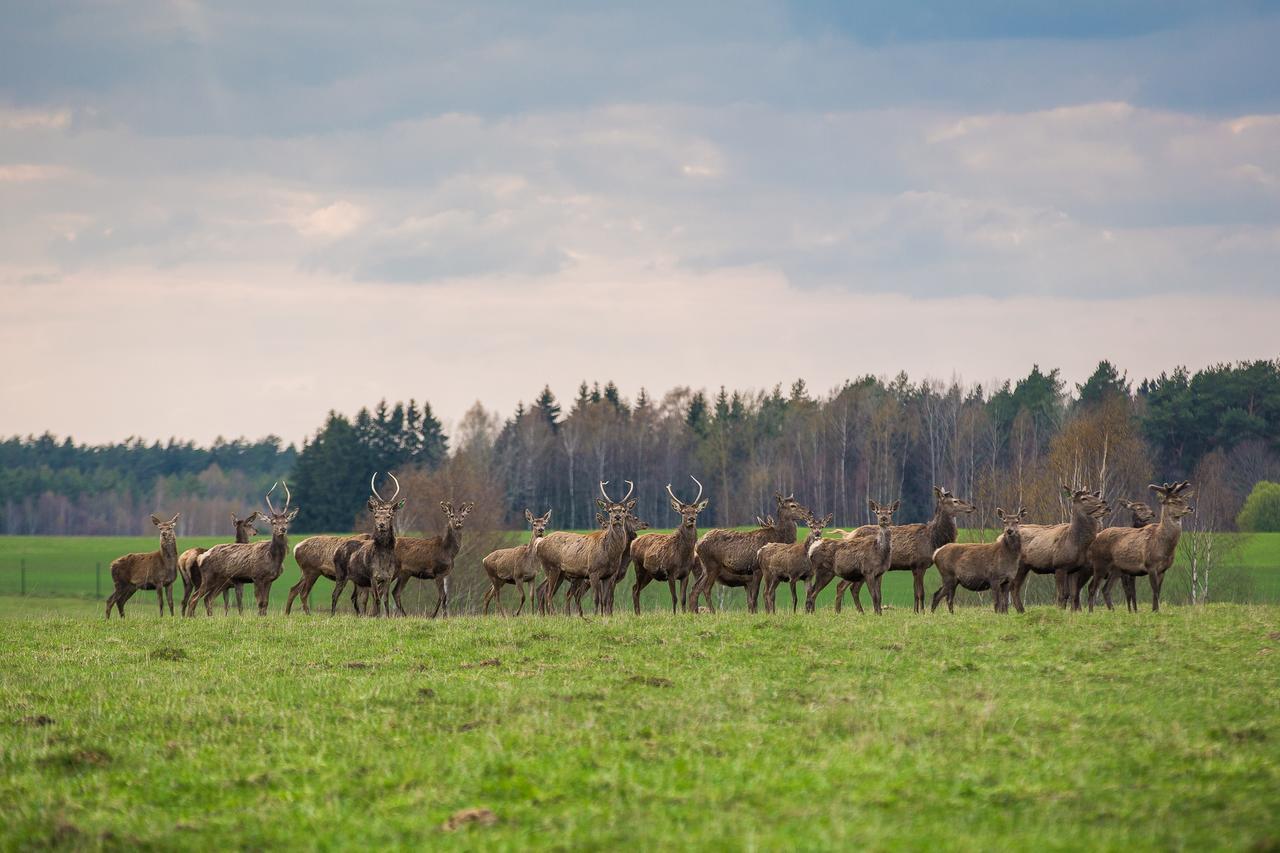 Barono Vila Butenai Zewnętrze zdjęcie